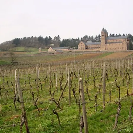 Hotel Weingut Jacob Lill Iv. Nachfolger Ruedesheim am Rhein